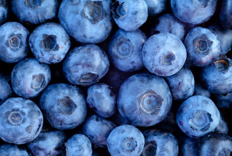 A close-up of numerous fresh blueberries.