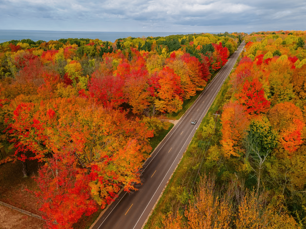 Aerial view of a winding road surrounded by vibrant fall foliage in shades of red, orange, and yellow.