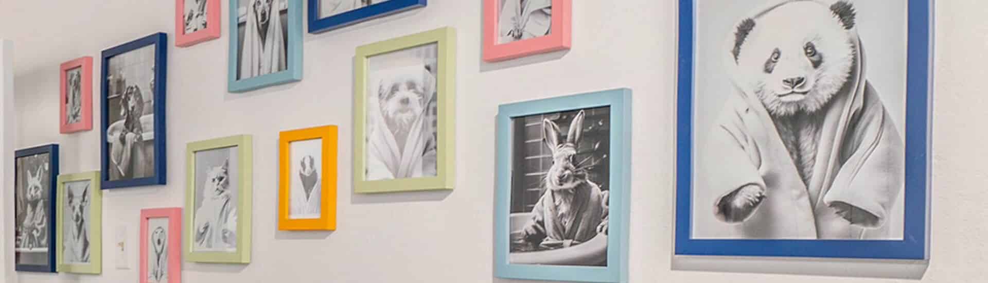 A gallery wall displaying framed black-and-white animal portraits in colorful frames.