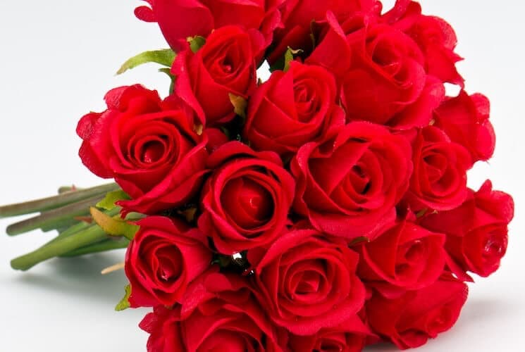 A vibrant bouquet of red roses on a white background.