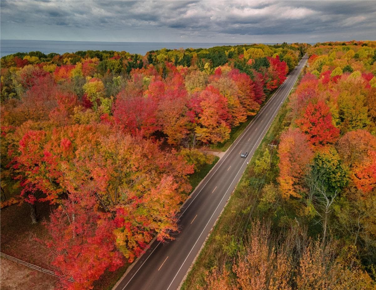 Aerial view of a winding road surrounded by vibrant fall foliage in shades of red, orange, and yellow. Aerial view of a winding road surrounded by vibrant fall foliage in shades of red, orange, and yellow.